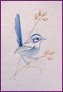 Blue Wren Stitched Card