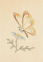 Butterfly Stitched Card