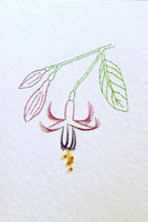 Fuchsia Stitched Card