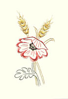 Field Poppy Stitched Card