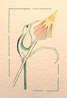 Malachite Sunbird Stitched Card