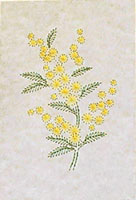 Wattle Stitched Card